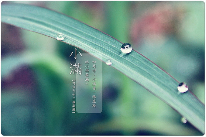 银河app手机版下载APP下载-银河app手机版下载2026最新版